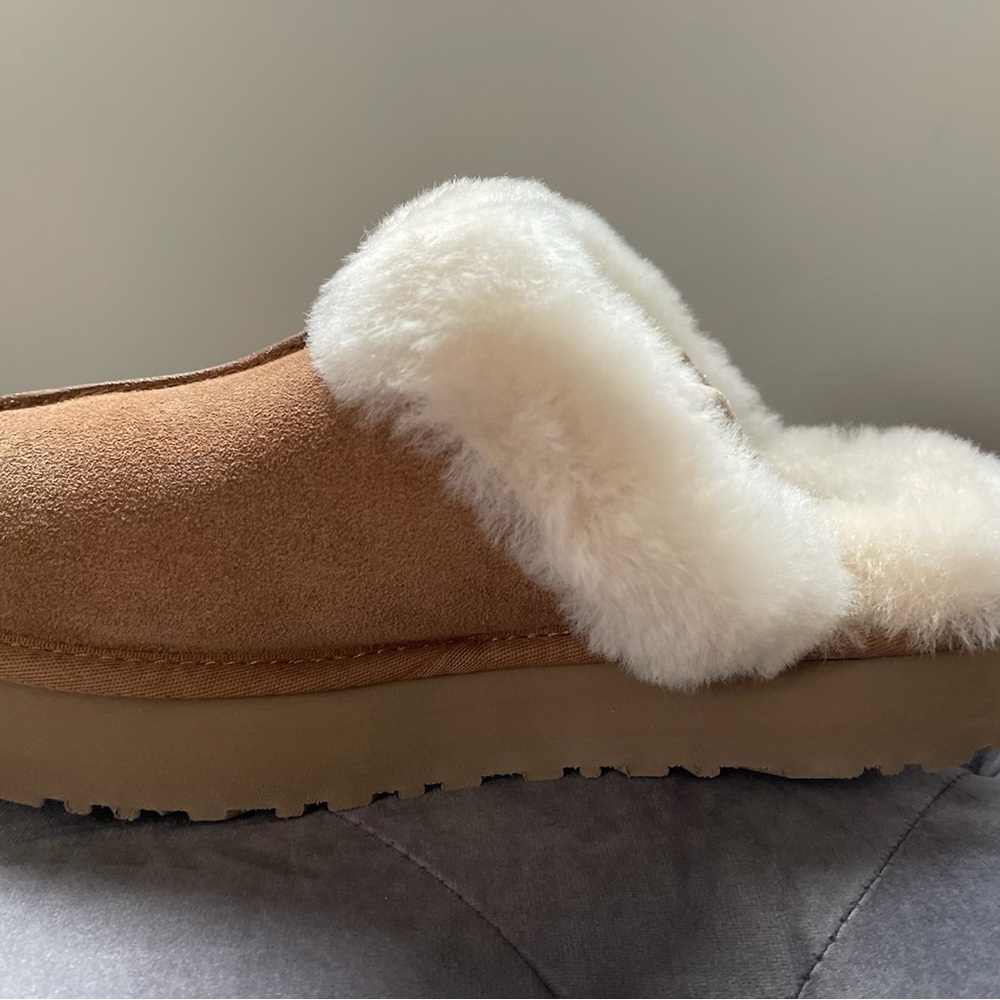 UGG Disquette Chestnet brand new in box